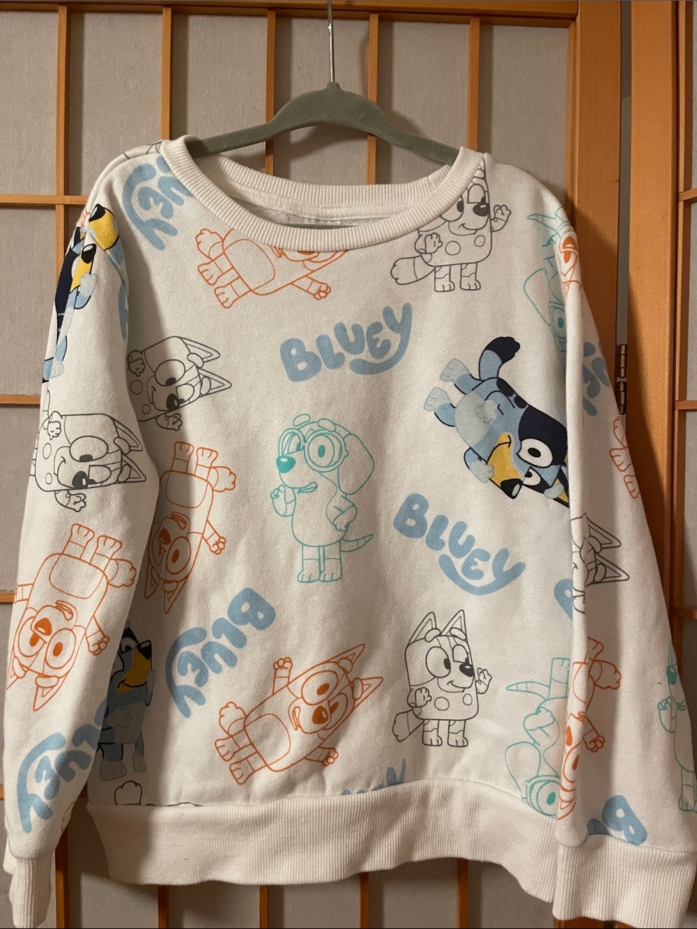 Bluey Toddler Boy 5T White Pullover Long Sleeve Sweatshirt with Bluey Print